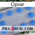 Cipvar 21